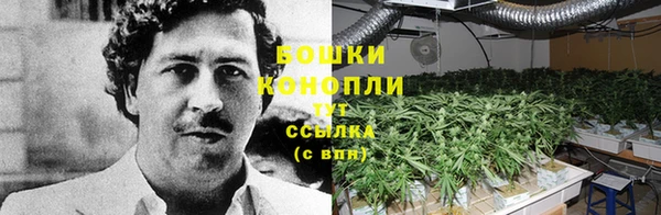 мдпв Россошь