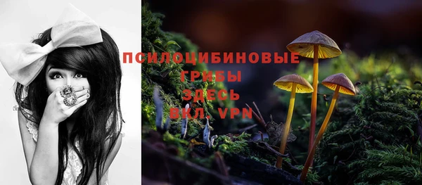 мдпв Россошь