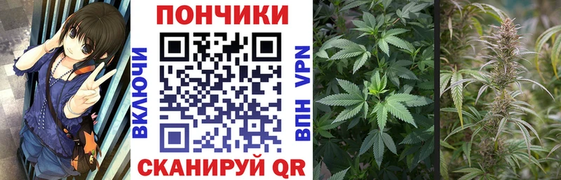 Бошки Шишки White Widow  Сольвычегодск 